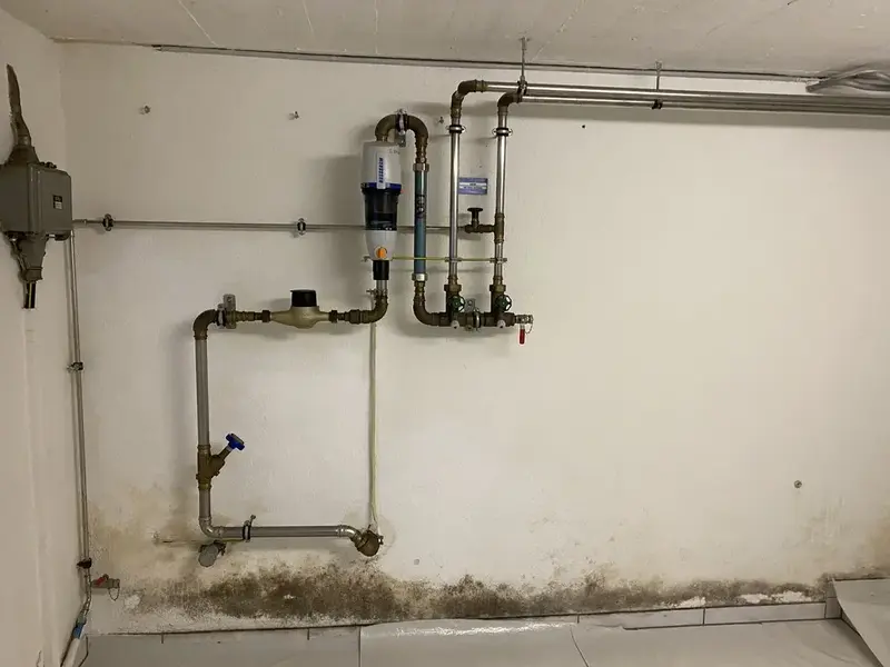 Feuchte Kellerwand mit Stockflecken